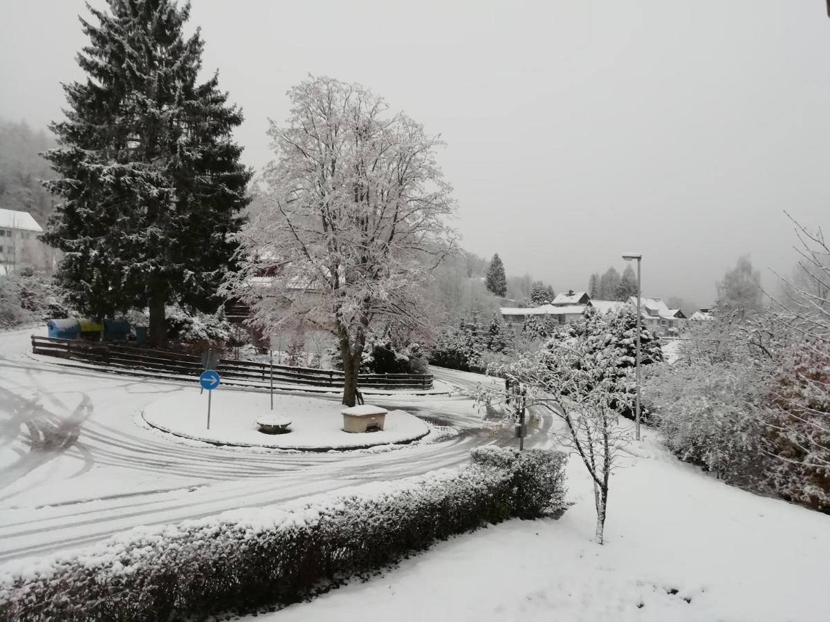 Schoene Aussicht Wieda Walkenried Esterno foto